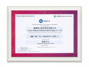 【福建78m威九国际软件技术有限公司】CMMI Level 3证书_